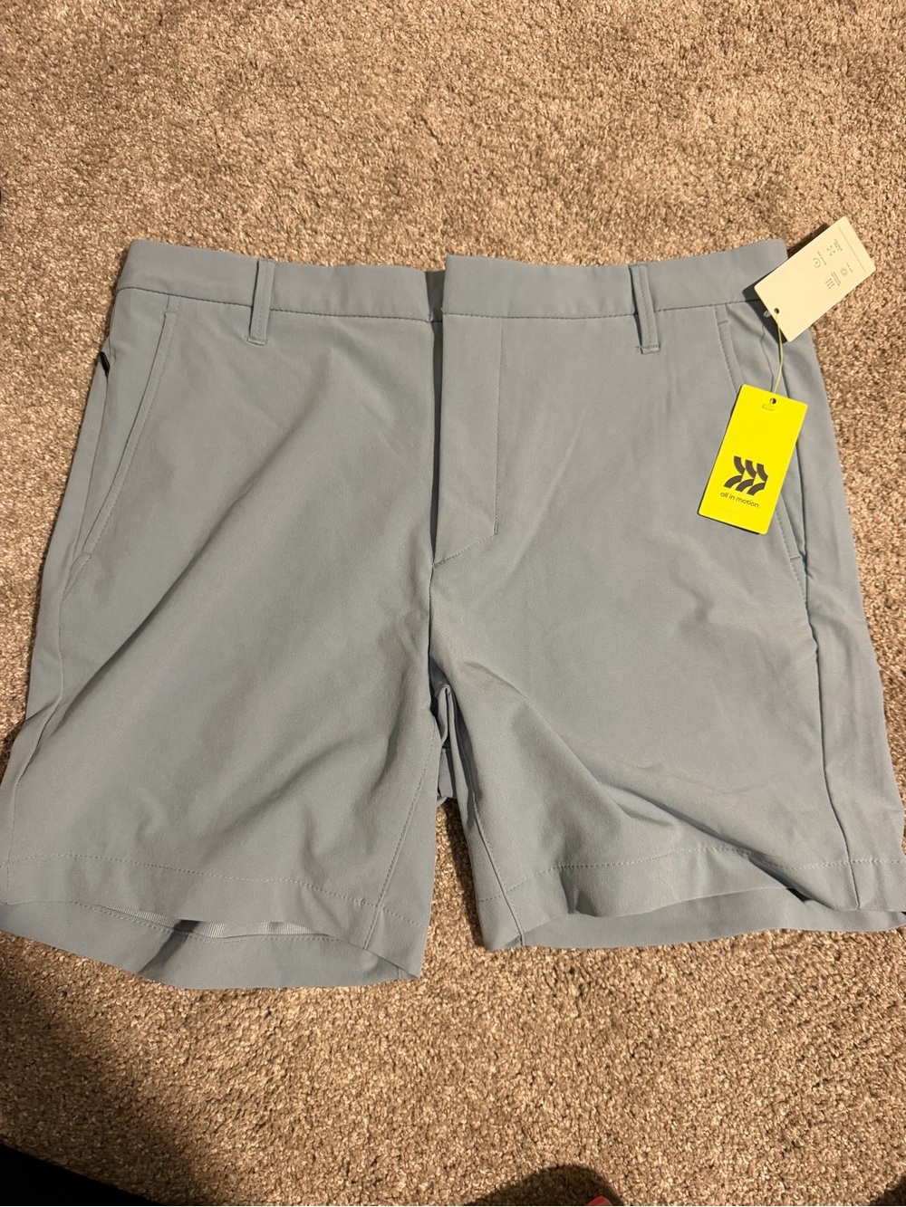 all in motion Men's Light Blue Hybrid Shorts